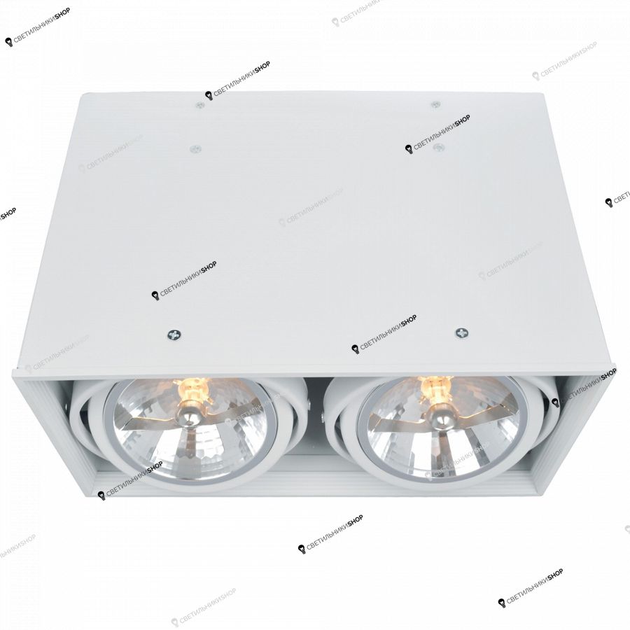 Точечный светильник Arte Lamp A5936PL-2WH CARDANI