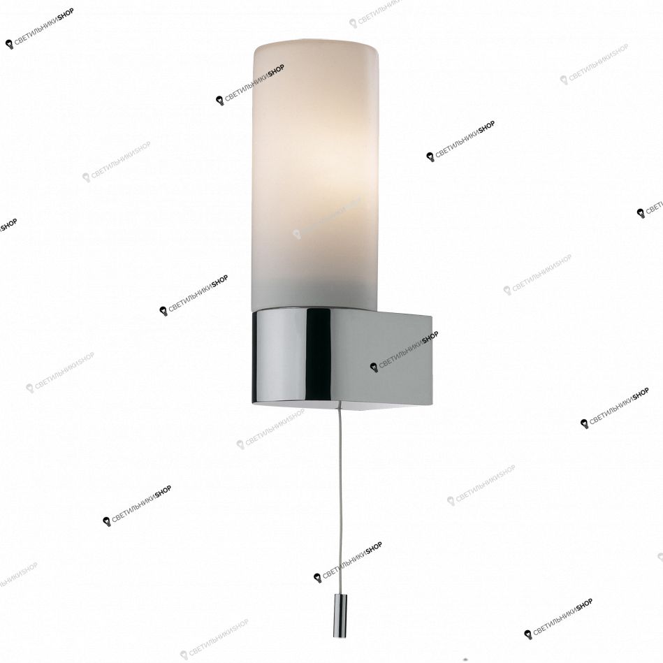 Светильник для ванной комнаты Odeon Light 2137/1W Want