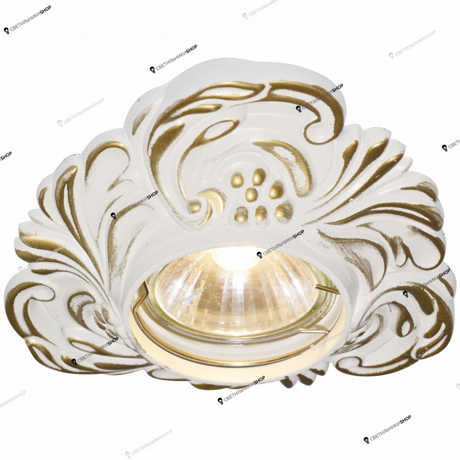 Точечный светильник Arte Lamp A5285PL-1SG Occhio