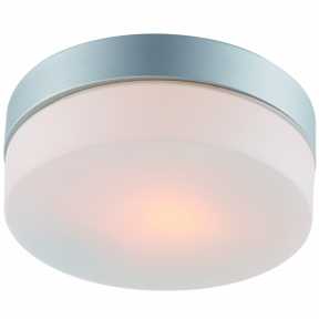 Светильник для ванной комнаты Arte Lamp A3211PL-1SI SHIRP