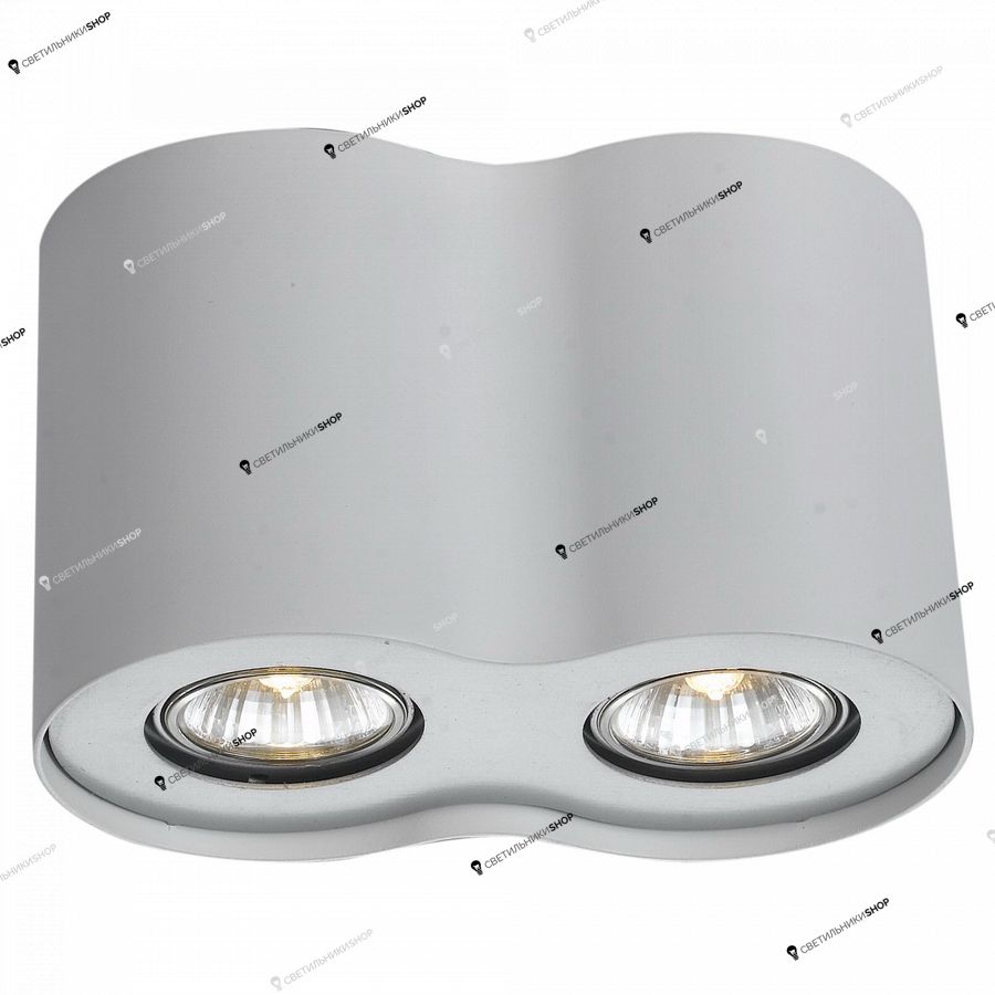 Точечный светильник Arte Lamp A5633PL-2WH FALCON