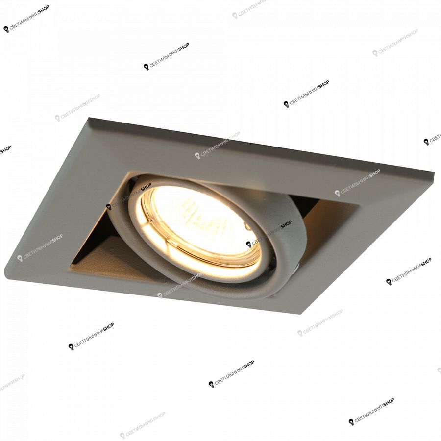 Точечный светильник Arte Lamp A5941PL-1GY Cardanno 1