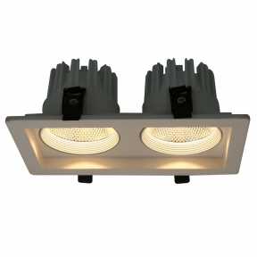 Точечный светильник Arte Lamp A7007PL-2WH Ronder