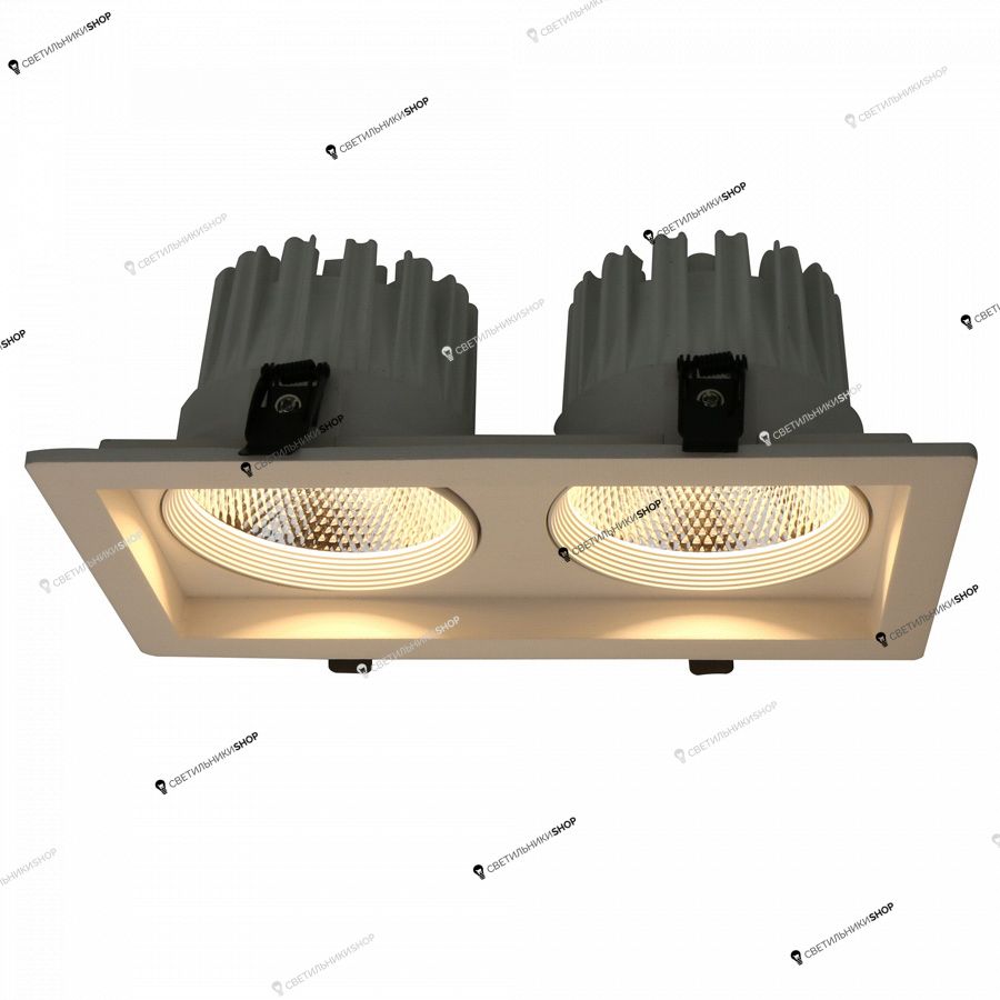 Точечный светильник Arte Lamp A7018PL-2WH Ronder
