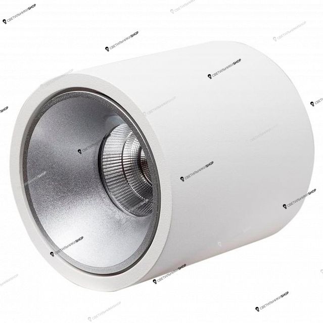 Точечный светильник LEDRON RINBOK White/Grey RINBOK
