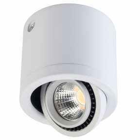 Точечный светильник MW-LIGHT 637017101 Круз