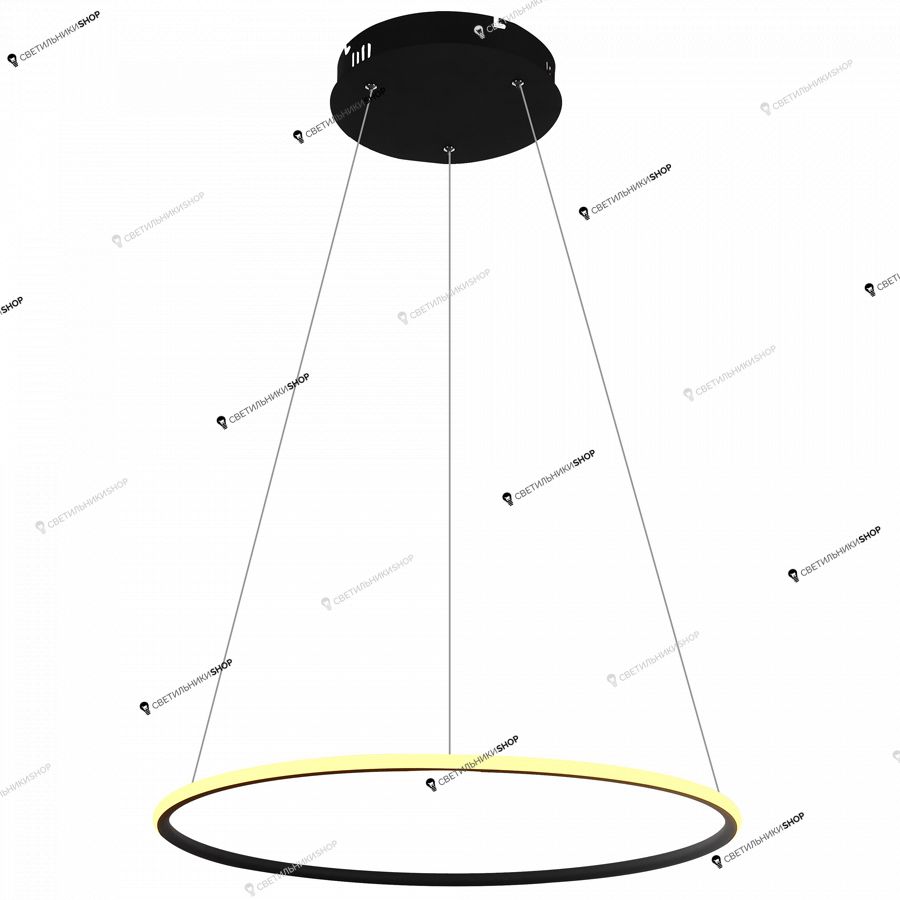 Светильник Arte Lamp (RAPID) A2500SP-1BK