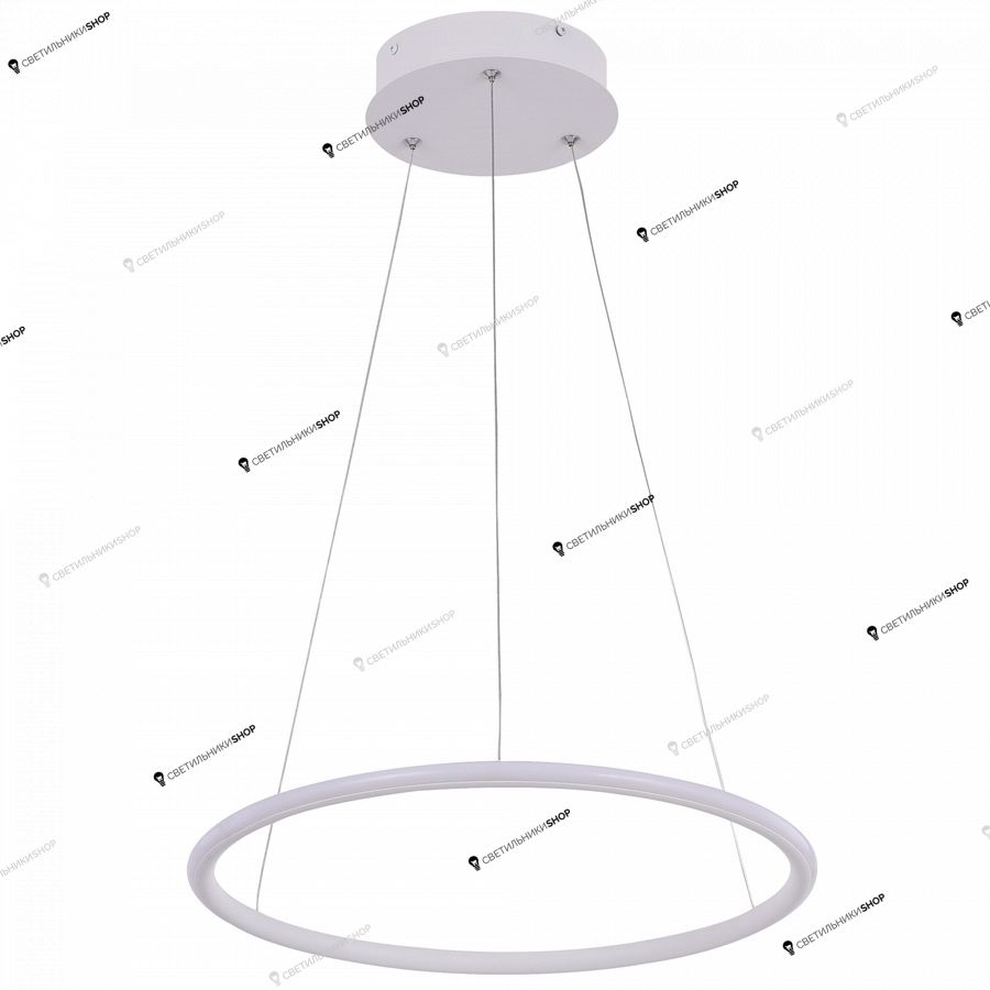 Светильник Arte Lamp (RAPID) A2500SP-1WH