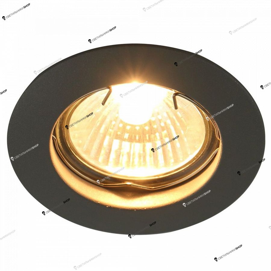 Точечный светильник Arte Lamp(PRAKTISCH) A2103PL-1GY