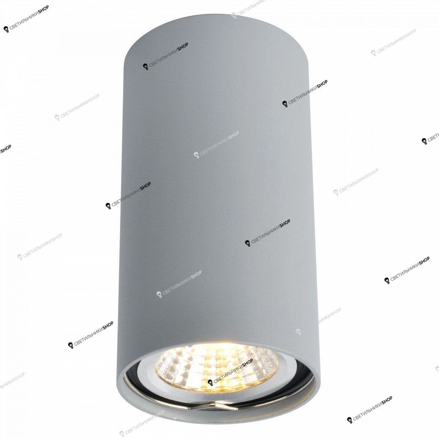 Точечный светильник Arte Lamp(UNIX) A1516PL-1GY