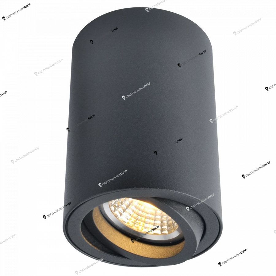 Точечный светильник Arte Lamp(SENTRY) A1560PL-1BK