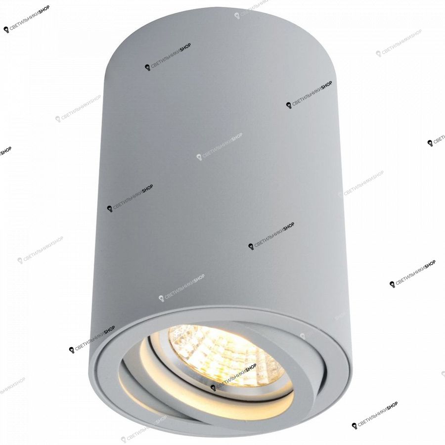 Точечный светильник Arte Lamp(SENTRY) A1560PL-1GY