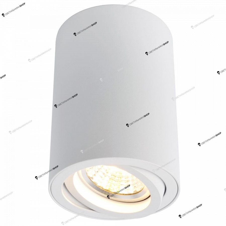 Точечный светильник Arte Lamp(SENTRY) A1560PL-1WH