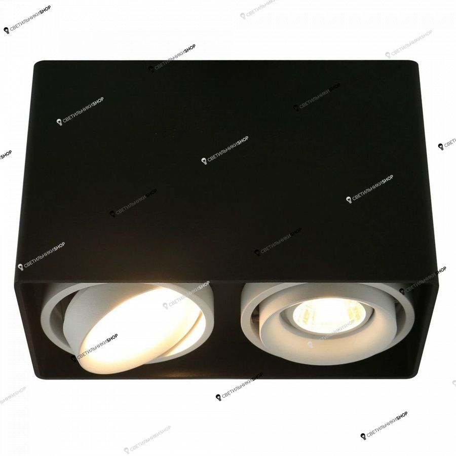 Точечный светильник Arte Lamp(PICTOR) A5655PL-2BK