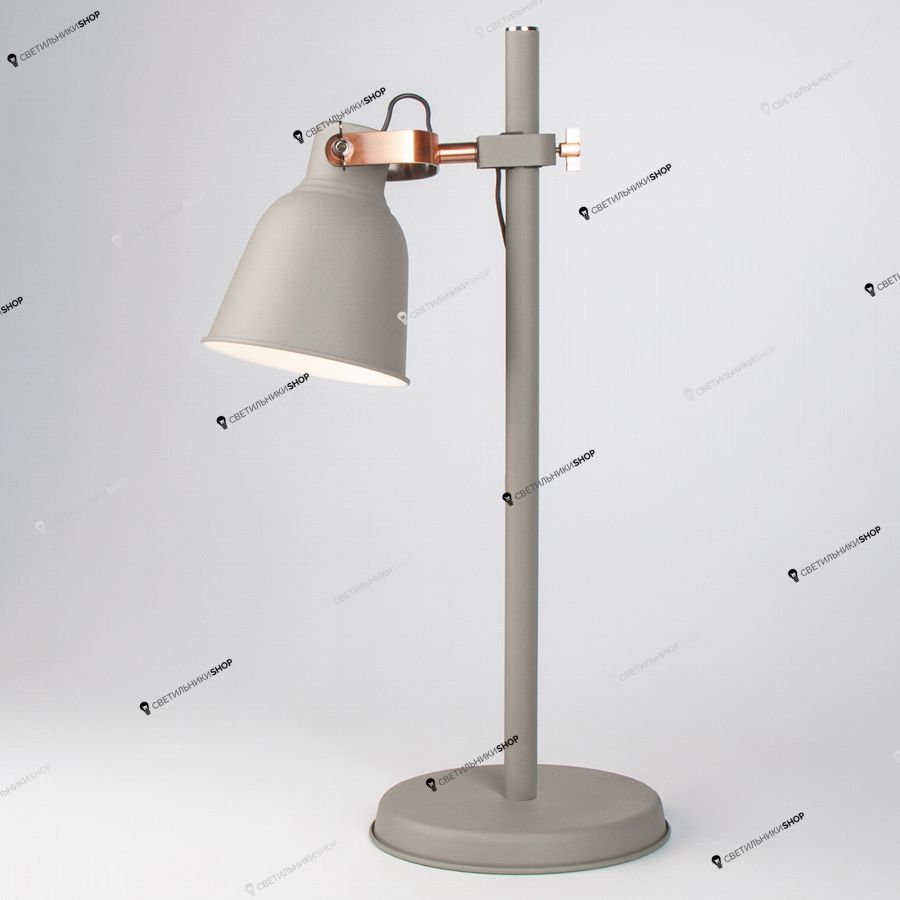 Настольная лампа Eurosvet(Projector) 01031/1 серый