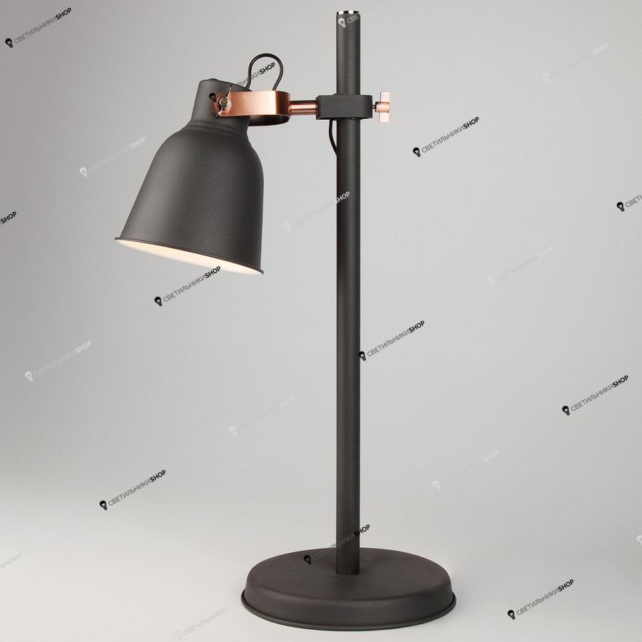 Настольная лампа Eurosvet(Projector) 01031/1 черный