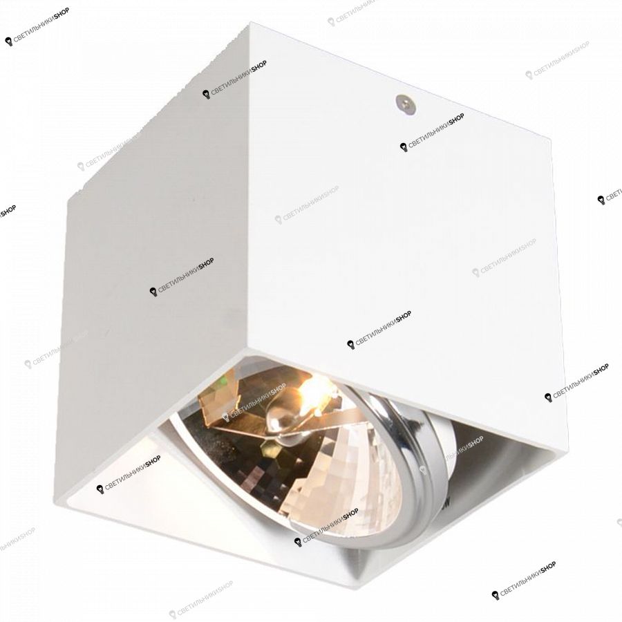 Точечный светильник ZUMALINE(BOX) 89947-G9