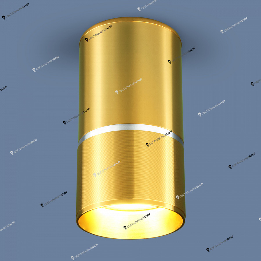 Точечный светильник Elektrostandard DLN106 GU10 золото
