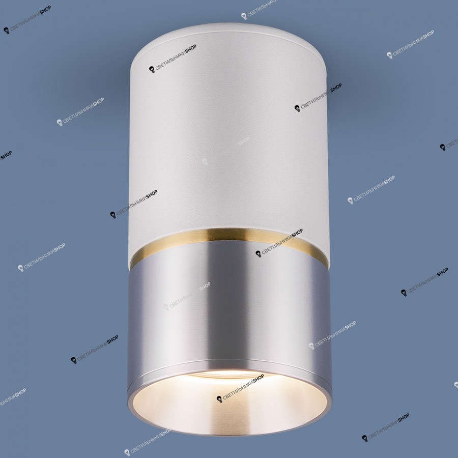 Точечный светильник Elektrostandard DLN106 GU10 белый/серебро