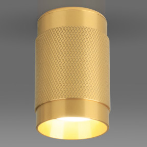 Точечный светильник Elektrostandard DLN109 GU10 золото