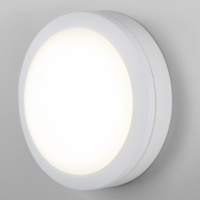 Уличный светильник Elektrostandard LTB51 LED Светильник 15W 4200K Белый