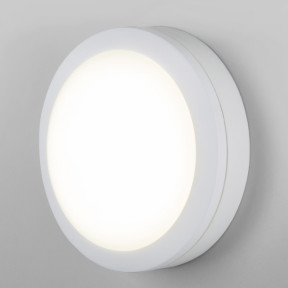 Уличный светильник Elektrostandard LTB51 LED Светильник 15W 6500K Белый