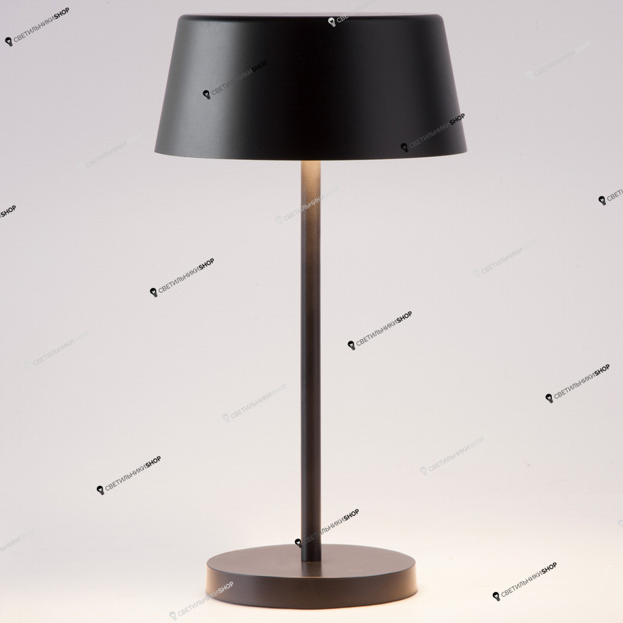 Настольная лампа Eurosvet(Apollo) 80424/1 черный