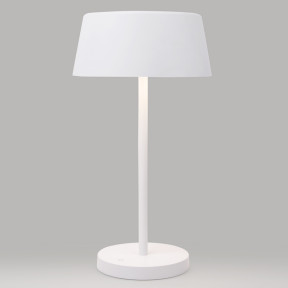 Настольная лампа Eurosvet(Apollo) 80424/1 белый
