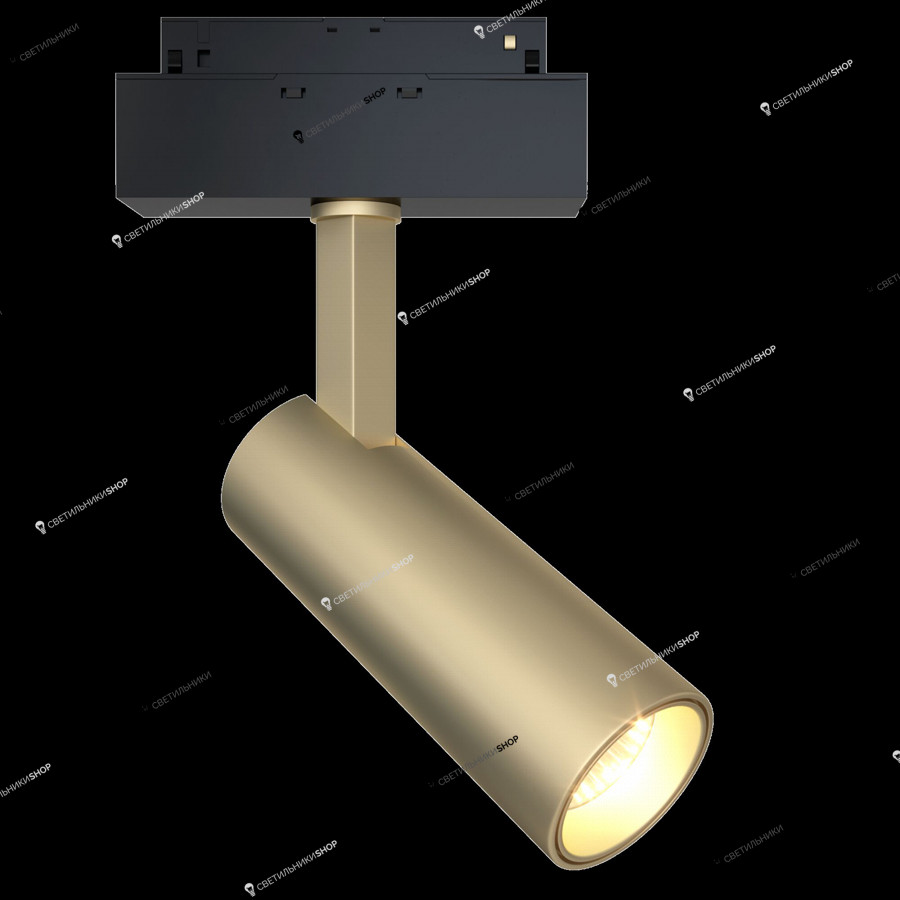 Светильник для магнитных шинных систем Maytoni(Track lamps) TR019-2-10W3K-MG