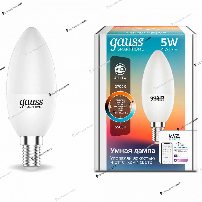 Светодиодная лампа Gauss(Smart Home) 1110112