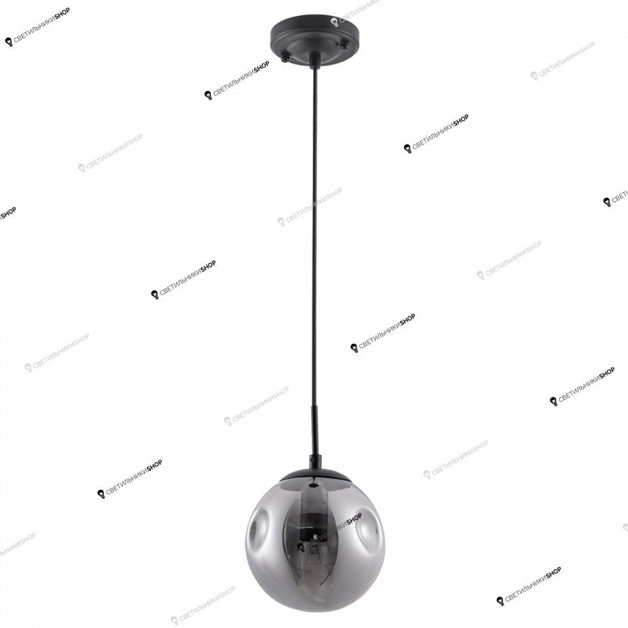 Светильник Arte Lamp(TUREIS) A9915SP-1BK