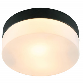 Светильник для ванной комнаты Arte Lamp(AQUA-TABLET) A6047PL-1BK