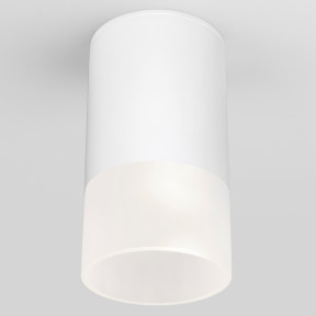 Уличный светильник Elektrostandard Light LED 2106 (35139/H) белый