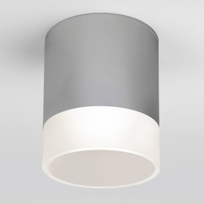 Уличный светильник Elektrostandard Light LED 2107 (35140/H) серый