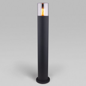 Уличный светильник Elektrostandard(Roil) Roil (35125/F) чёрный/дымчатый плафон