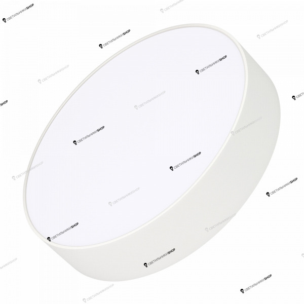 Светильник для ванной комнаты Arlight 035534 (SP-RONDO-R250-20W Day4000)