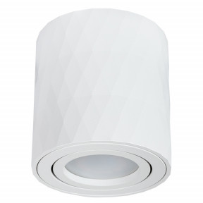 Точечный светильник Arte Lamp(Fang) A5559PL-1WH
