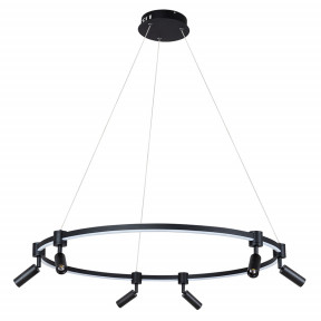 Светильник Arte Lamp(Ring) A2186SP-1BK