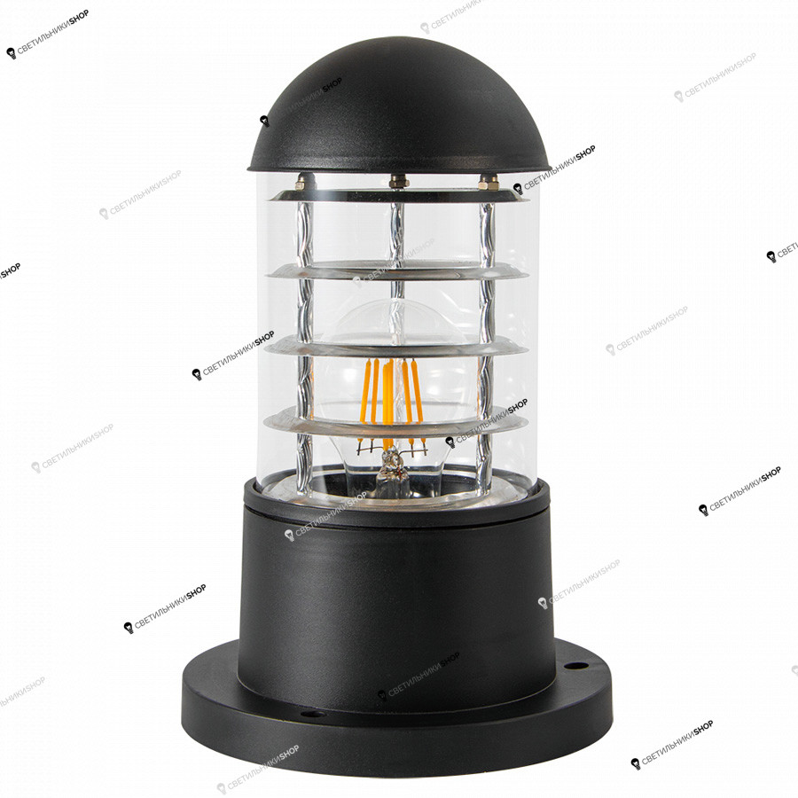 Уличный светильник Arte Lamp(COPPIA) A5217FN-1BK