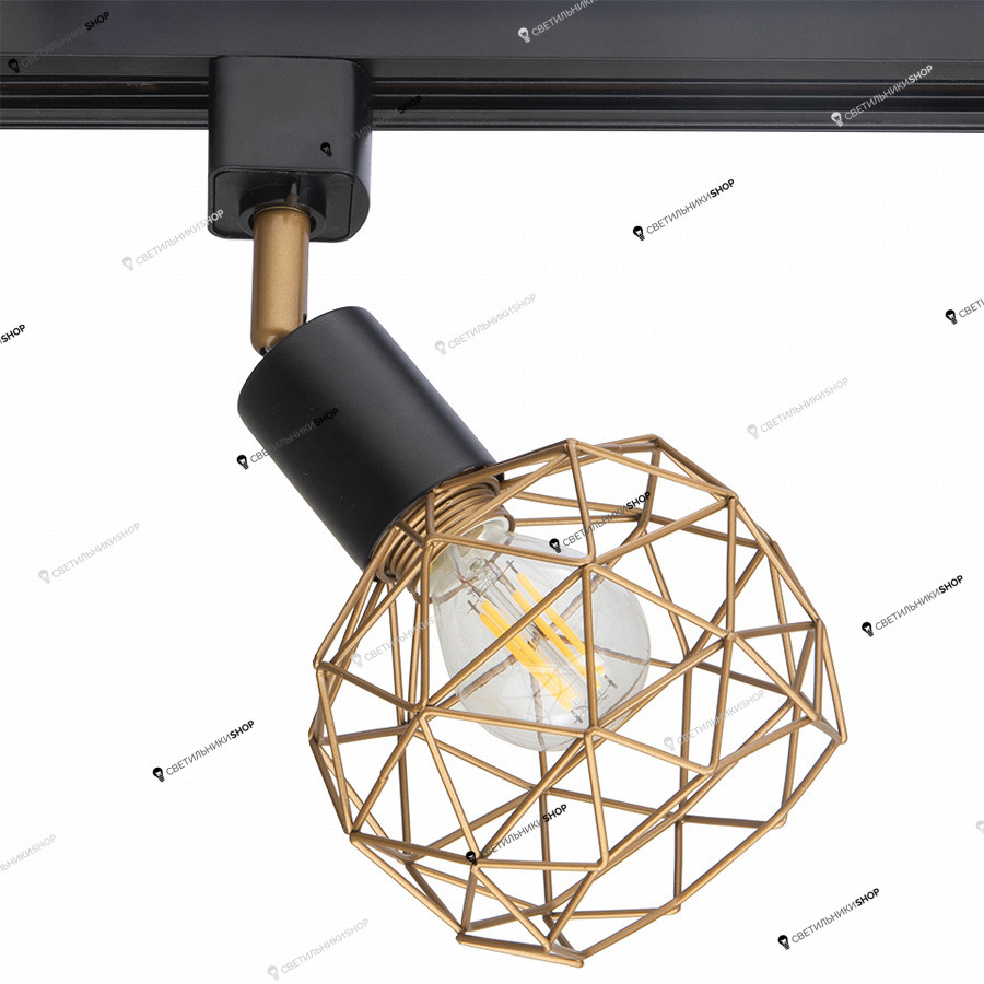 Светильник для однофазного шинопровода Arte Lamp(SOSPIRO) A6141PL-1GO