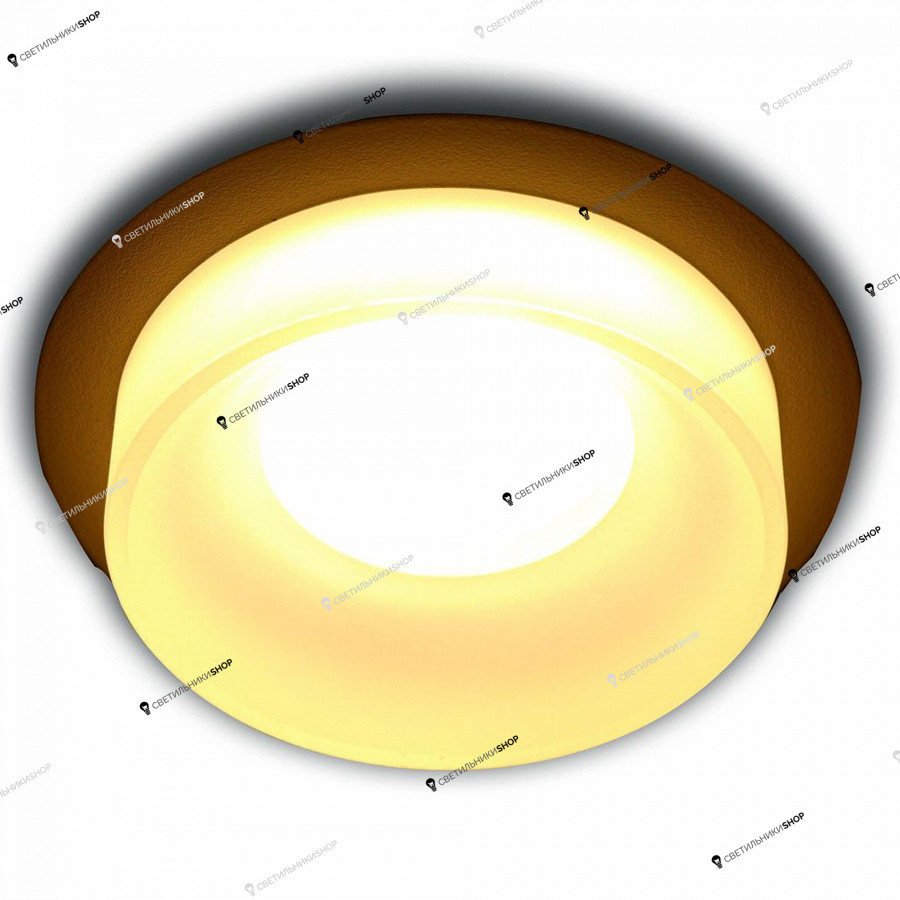 Точечный светильник Ritter(CELLE ) 52052 8