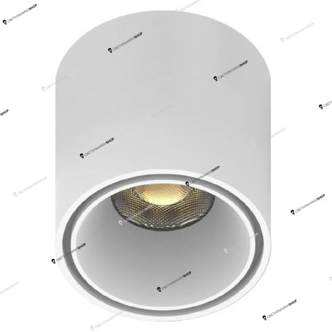 Светильник для магнитного шинопровода Aployt(Magnetic track 48) APL.0109.10.06